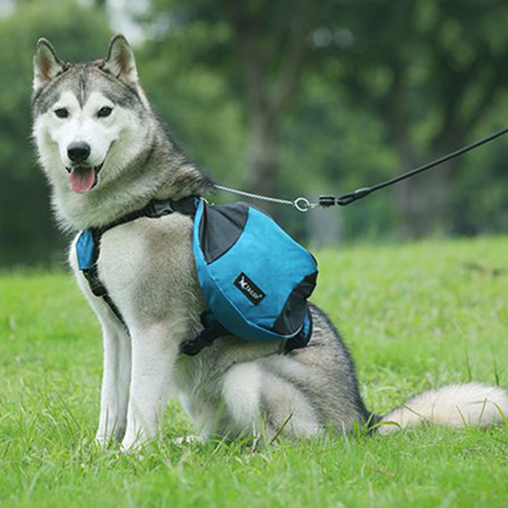 Dog Weight Training Backpack H - огляд і ціна Crossfit Weight Vest